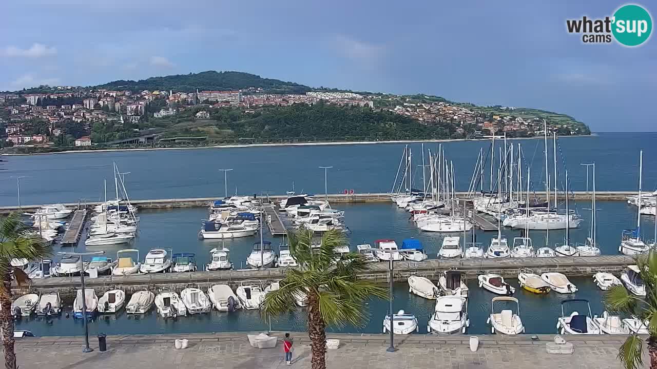 Spletna kamera Koper – Panorama na marino in promenado s Hotela Grand Koper