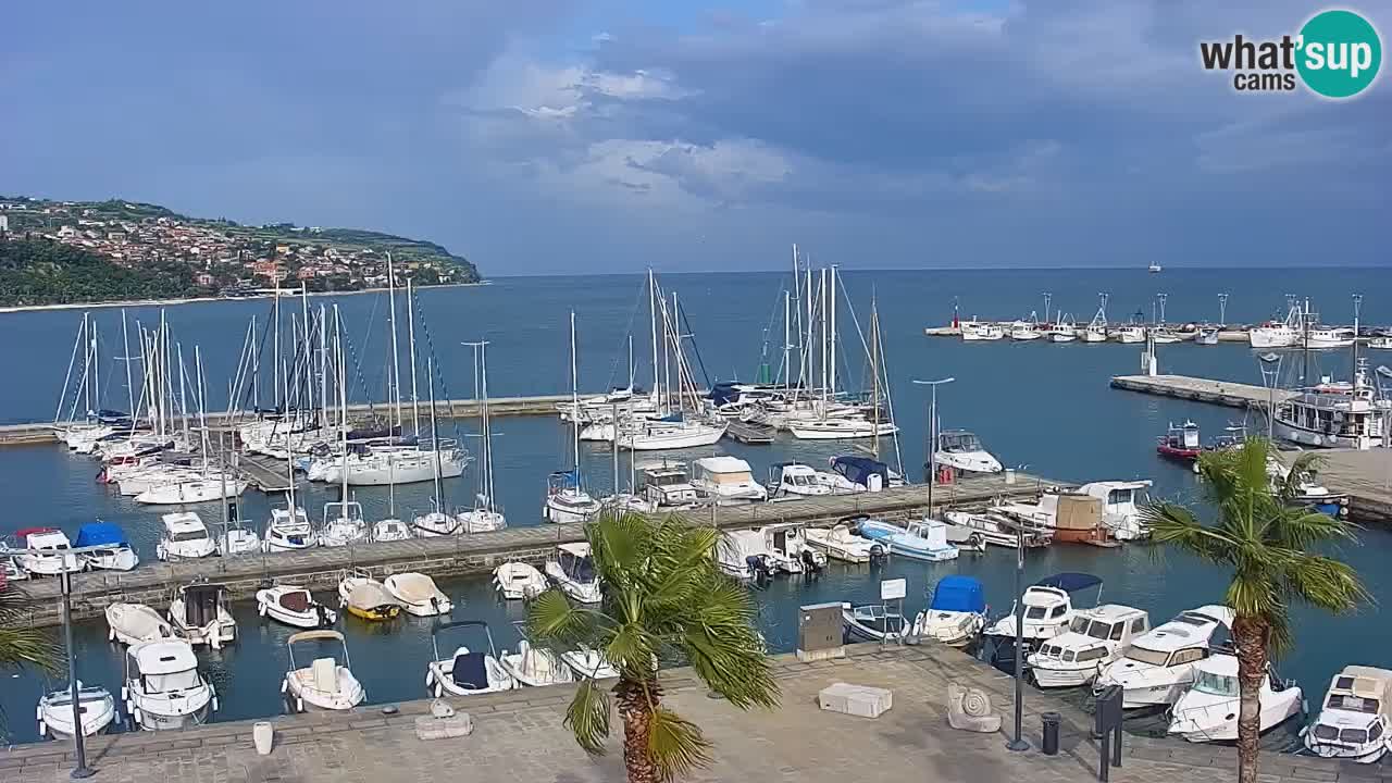 Webcam Koper – Panorama of the marina and promenade from the Grand Hotel Koper