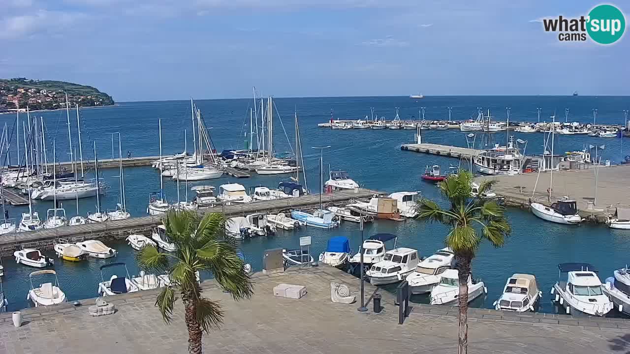 Live cam Koper – Ukmarjev trg