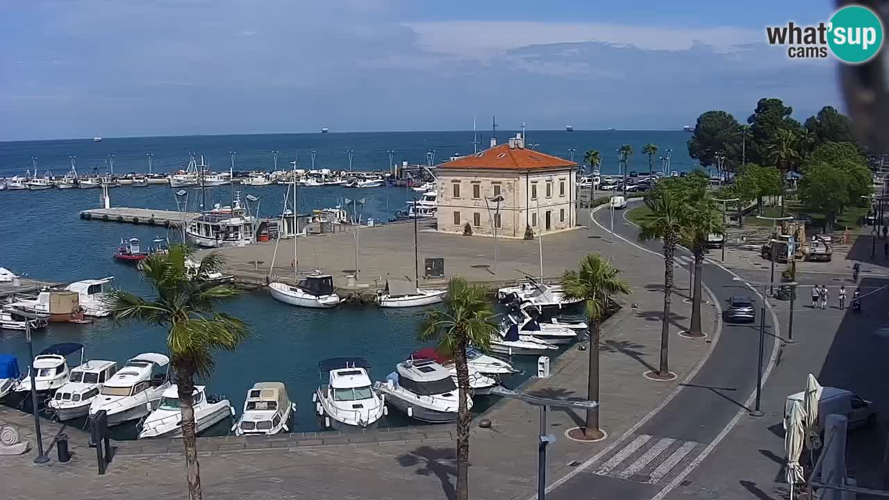 Camera en Vivo Koper – Ukmarjev trg