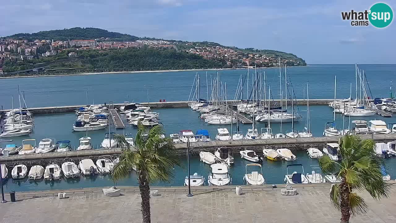 Webcam Koper – Panorama des Jachthafens und der Promenade vom Hotel Grand Koper