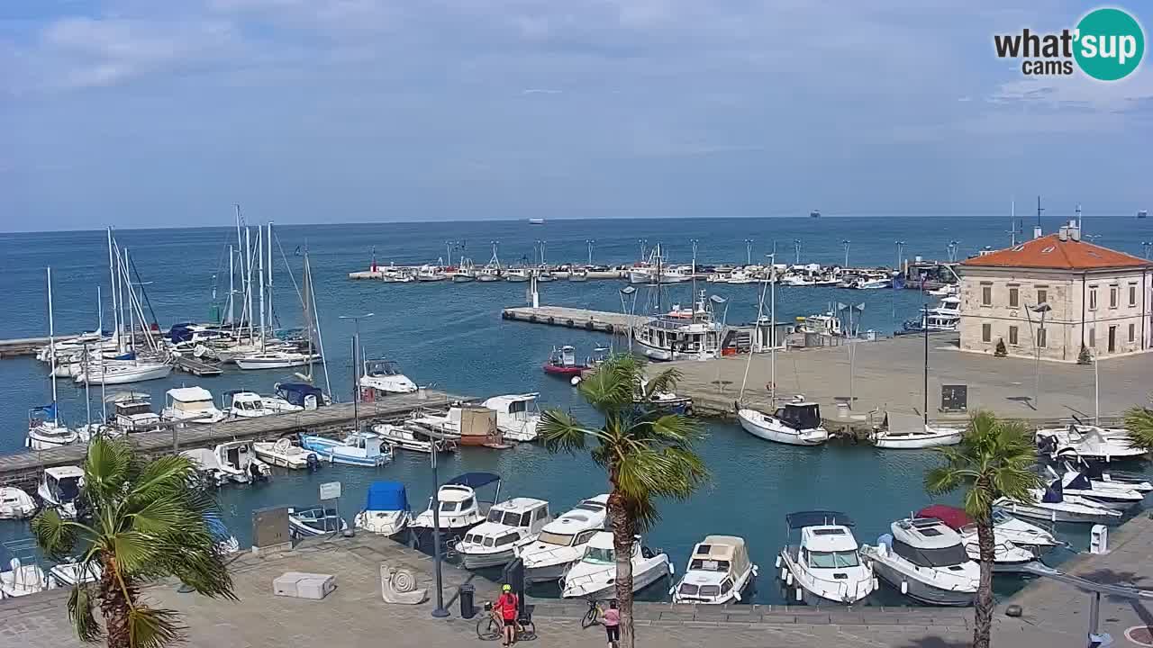 Camera en Vivo Koper – Ukmarjev trg