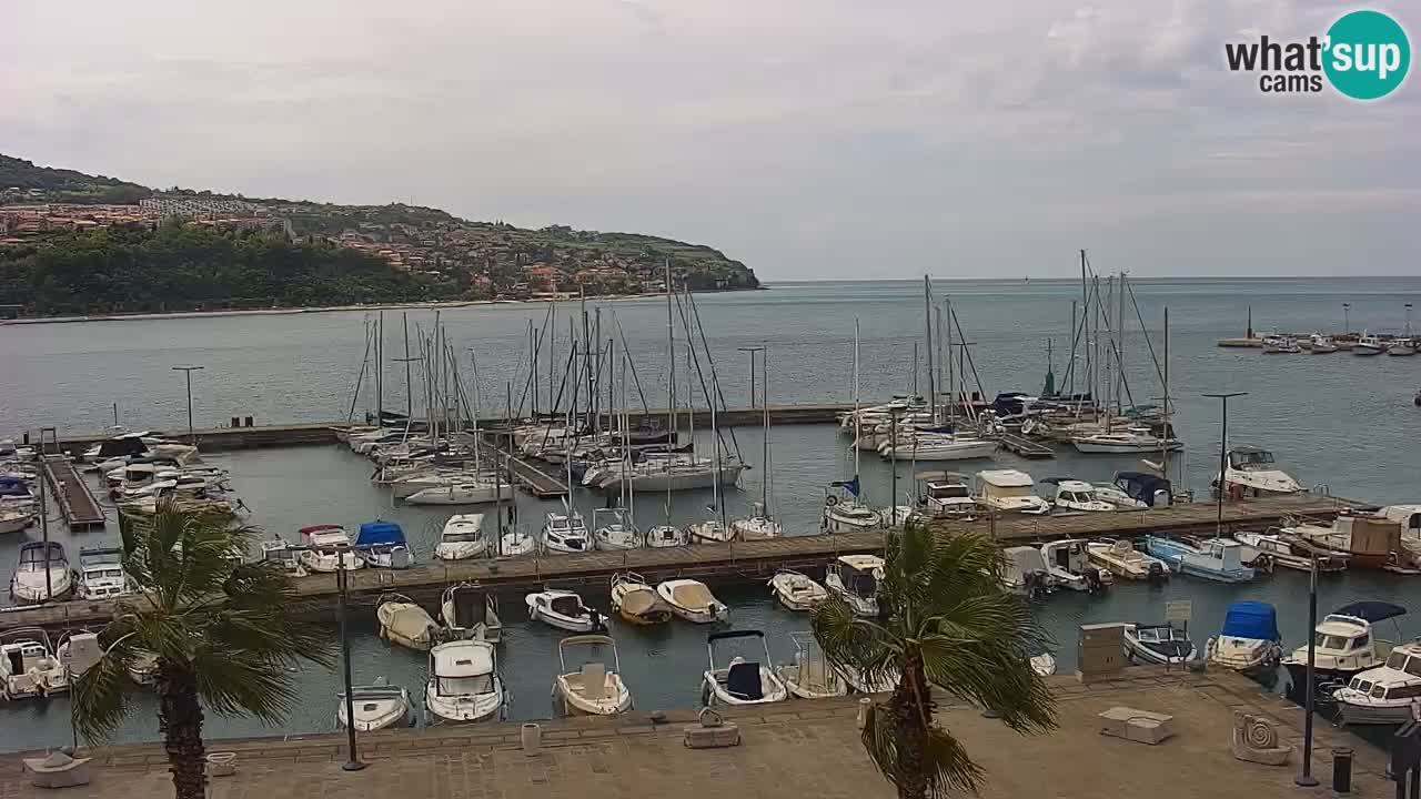 Webcam Koper – Panorama of the marina and promenade from the Grand Hotel Koper