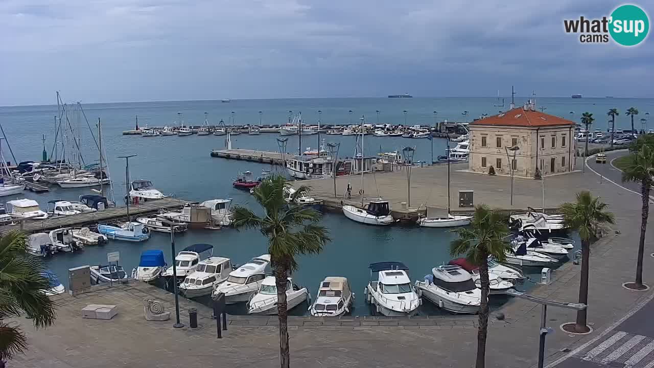 Spletna kamera Koper – Panorama na marino in promenado s Hotela Grand Koper