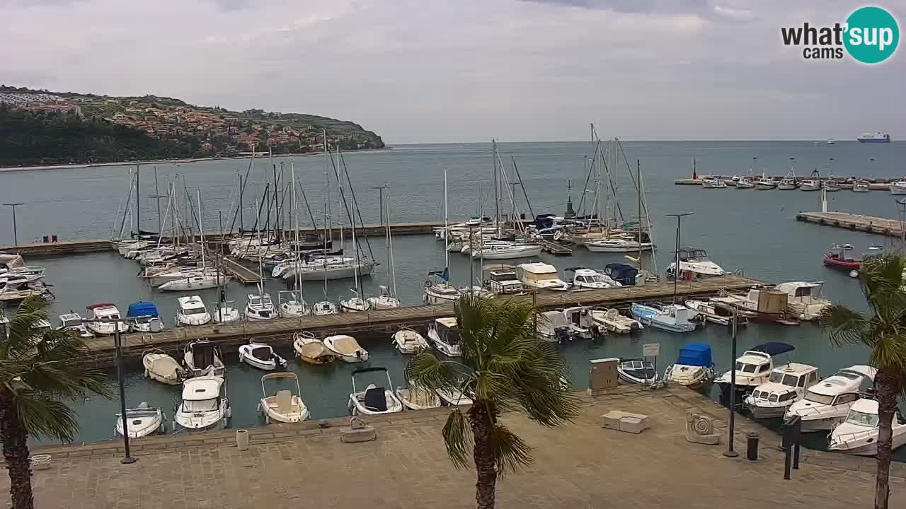 Spletna kamera Luka Koper v živo – Potniški terminal in tovorno pristanišče – Slovenija