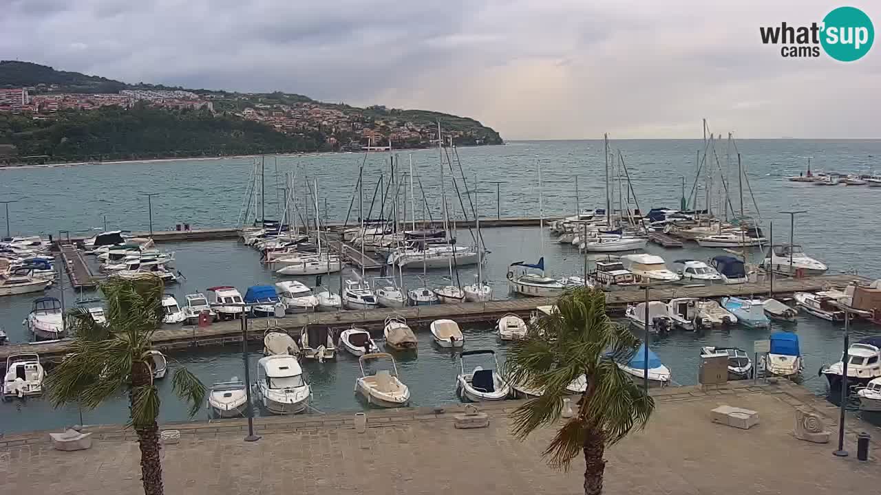 Spletna kamera Luka Koper v živo – Potniški terminal in tovorno pristanišče – Slovenija