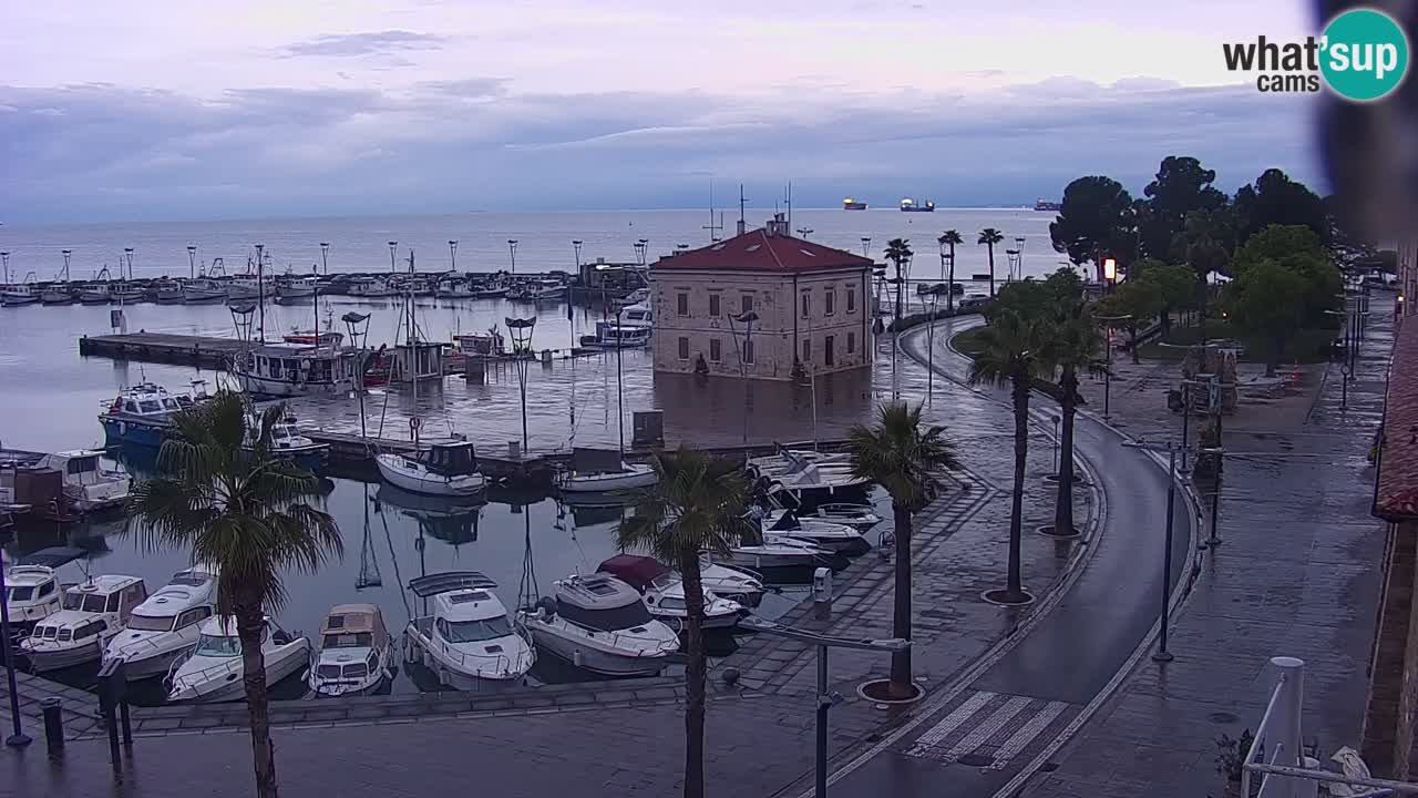 Web kamera Koper – marina i promenada – hotel Grand Koper