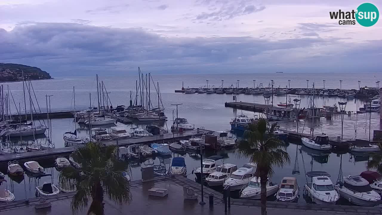 Livecam Koper – Ukmarjev trg