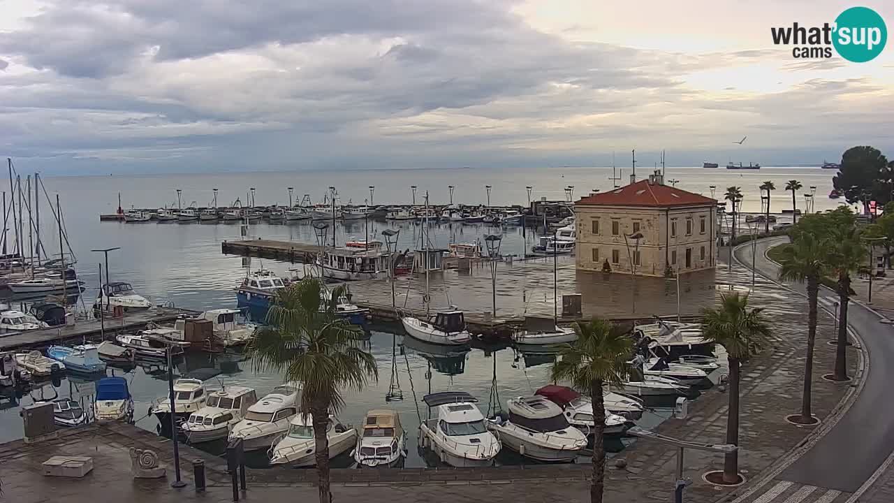 The Port of Koper live webcam – cruise and cargo port – Slovenia