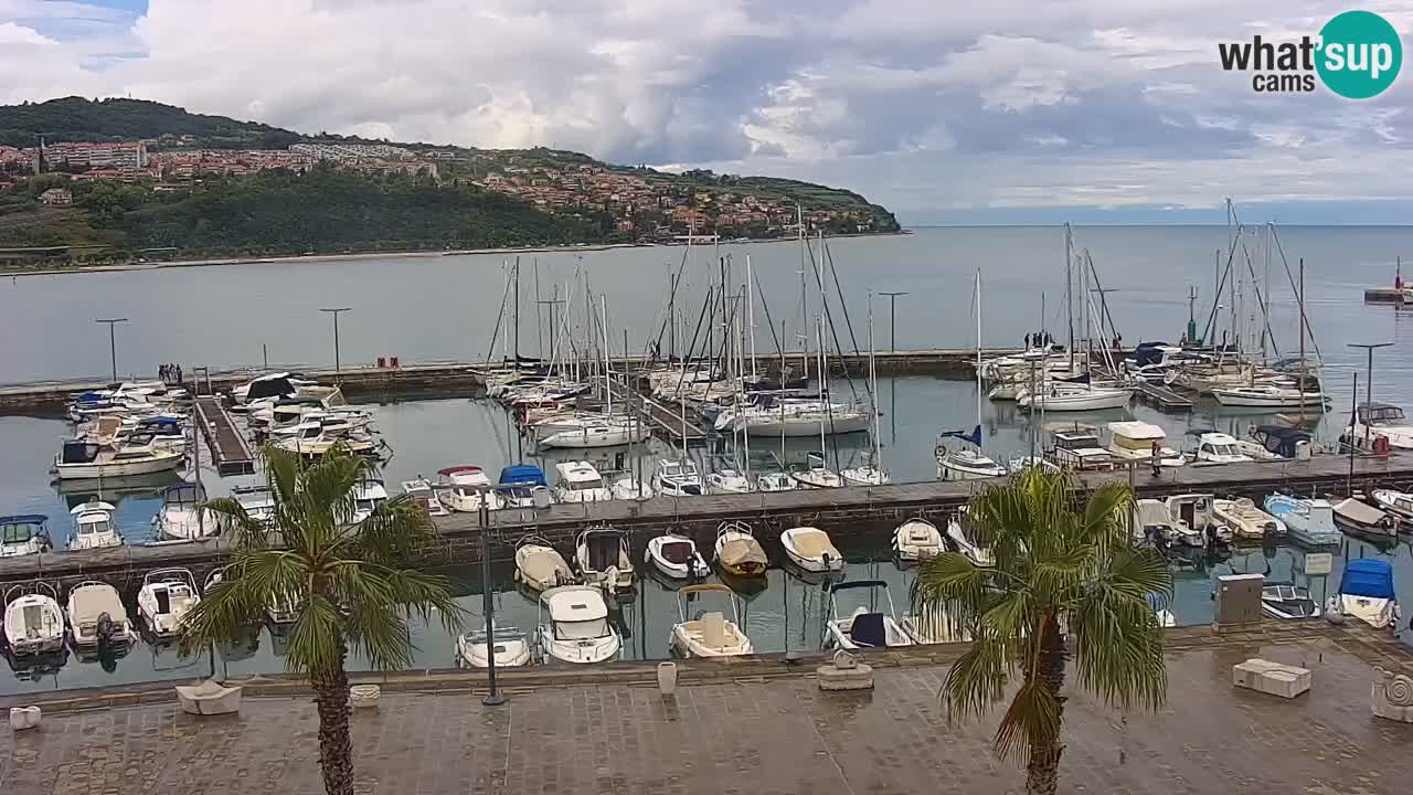 Web kamera Koper – marina i promenada – hotel Grand Koper