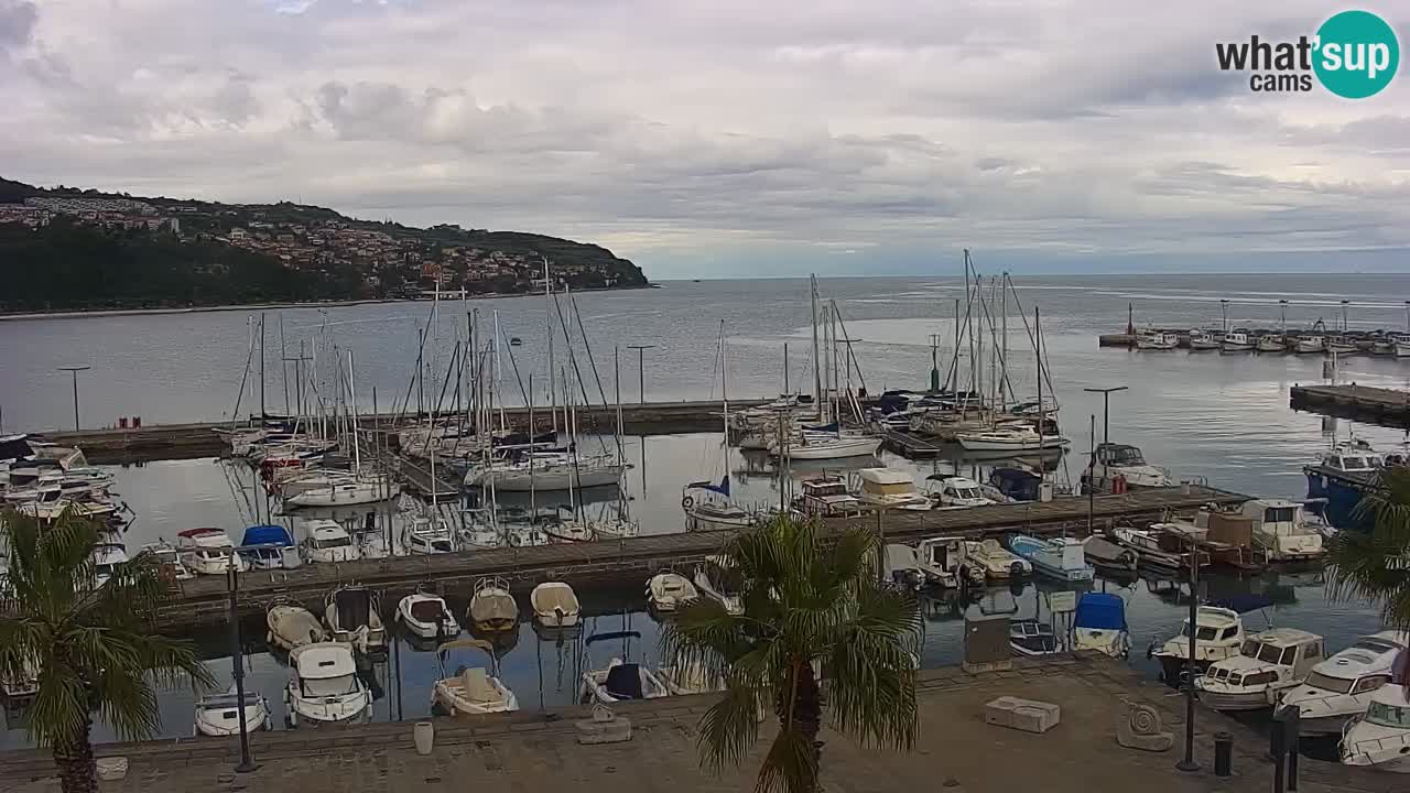 Spletna kamera Koper – Panorama na marino in promenado s Hotela Grand Koper