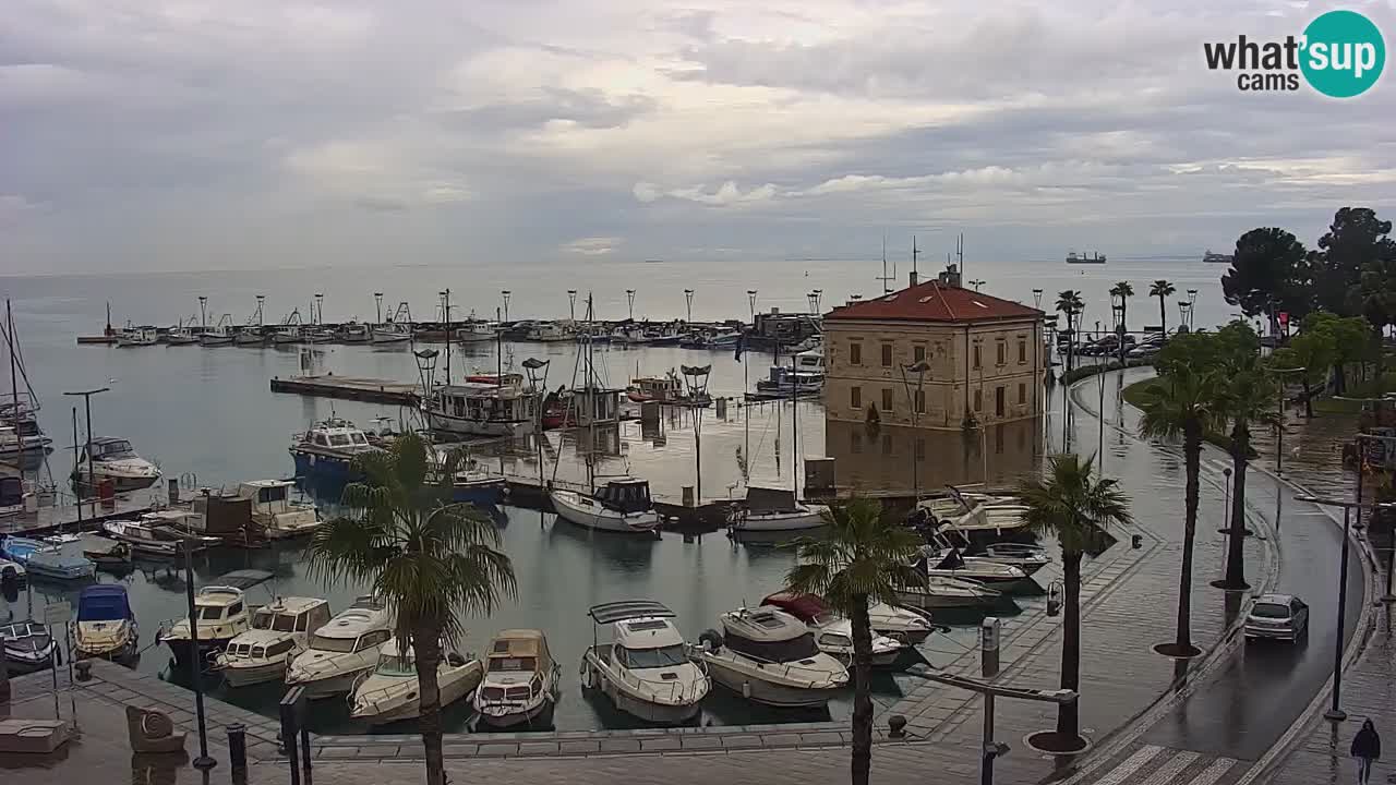 Webcam en direct du port de Koper – port de croisière et de fret – Slovénie