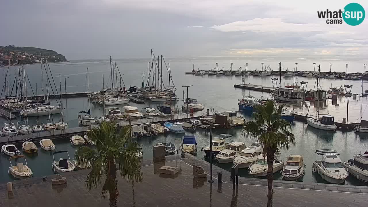 Webcam Koper – Panorama des Jachthafens und der Promenade vom Hotel Grand Koper