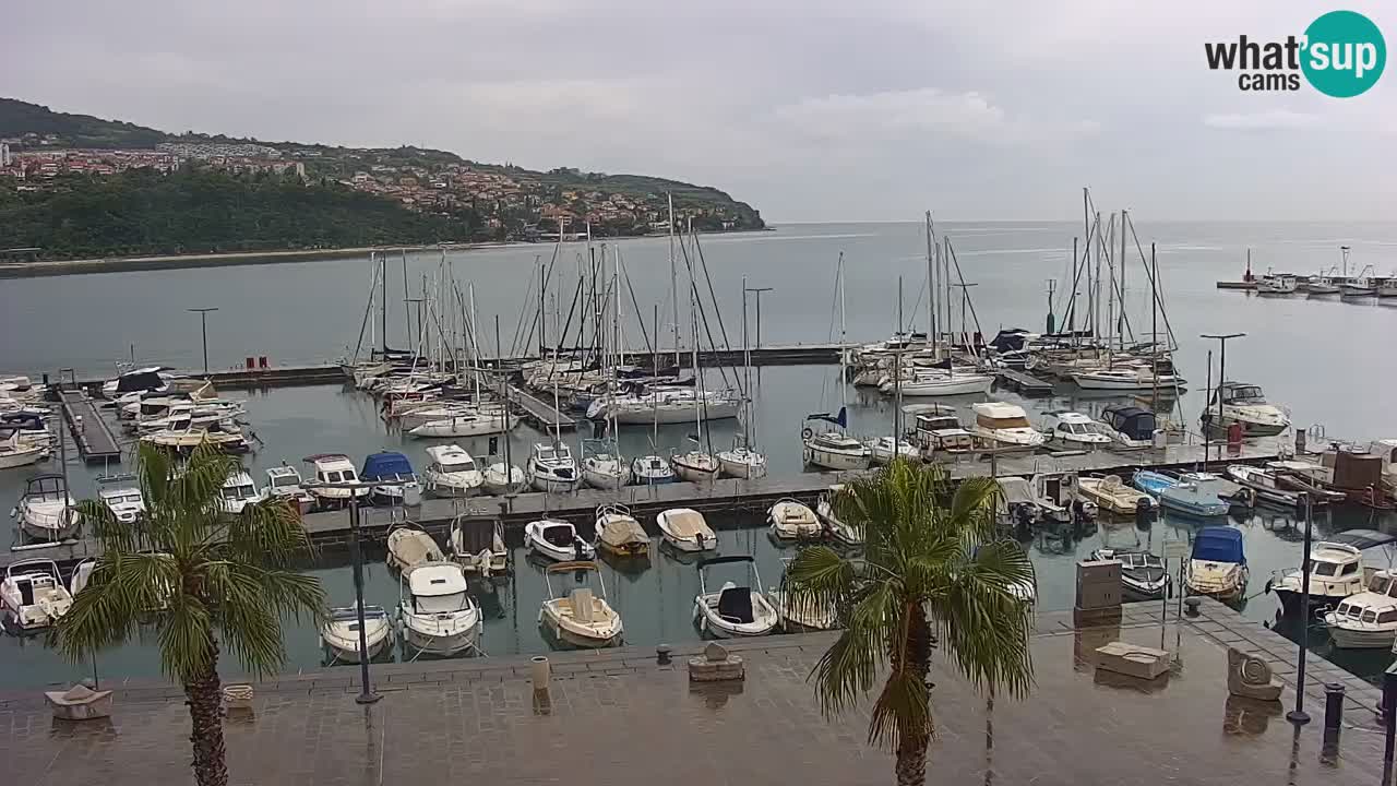 Webcam en vivo del Puerto de Koper – puerto de carga y cruceros – Eslovenia