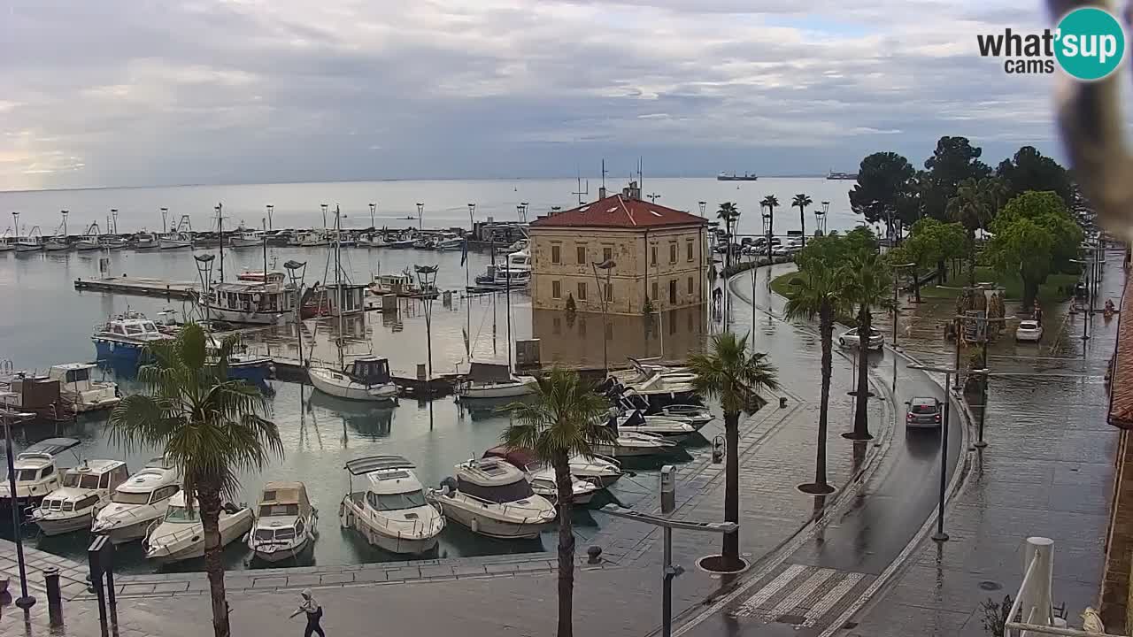 Der Hafen von Koper Live-Webcam – Kreuzfahrt- und Frachthafen – Slowenien