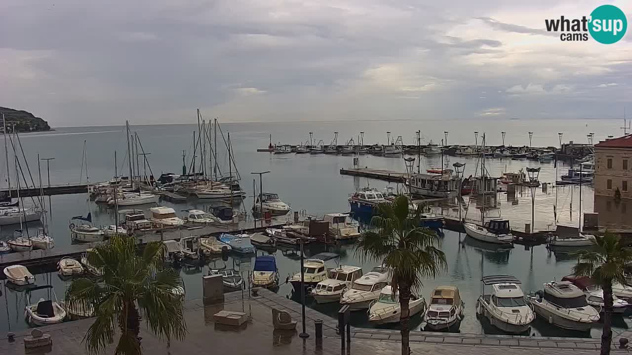 Webcam Koper – Panorama de la marina et de la promenade depuis le Grand Hotel Koper