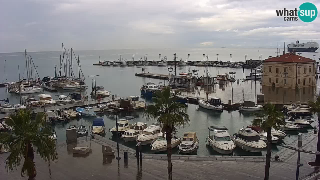 Webcam Koper – Panorama of the marina and promenade from the Grand Hotel Koper