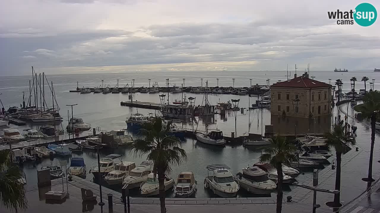 Il porto di Koper – Capodistria live webcam – porto crociere e mercantile – Slovenia