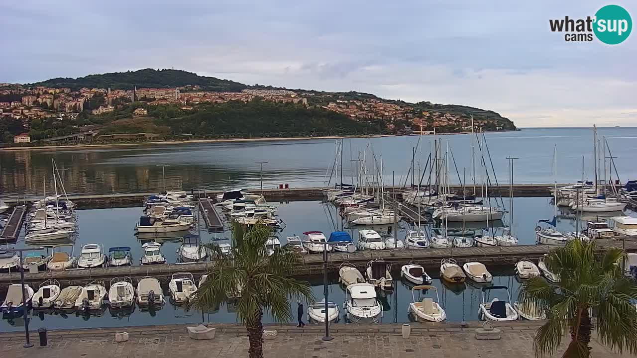 Webcam Koper – Panorama of the marina and promenade from the Grand Hotel Koper