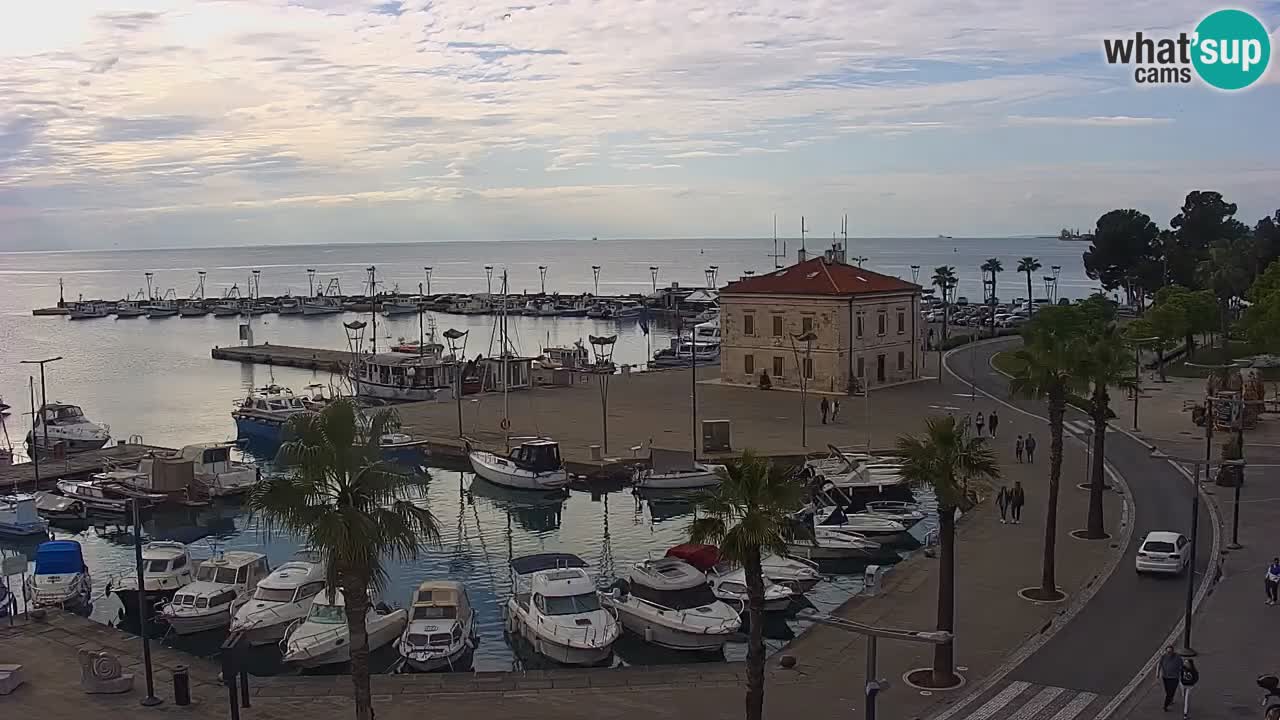 Der Hafen von Koper Live-Webcam – Kreuzfahrt- und Frachthafen – Slowenien