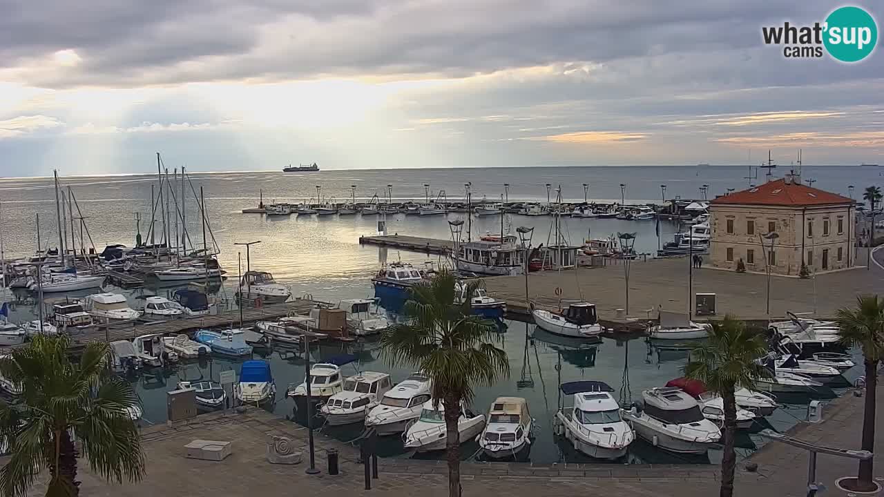 Camera en Vivo Koper – Ukmarjev trg
