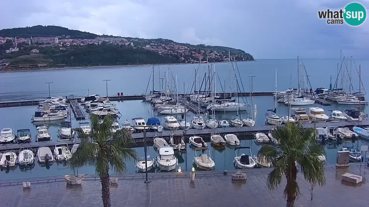 The Port of Koper live webcam – cruise and cargo port – Slovenia