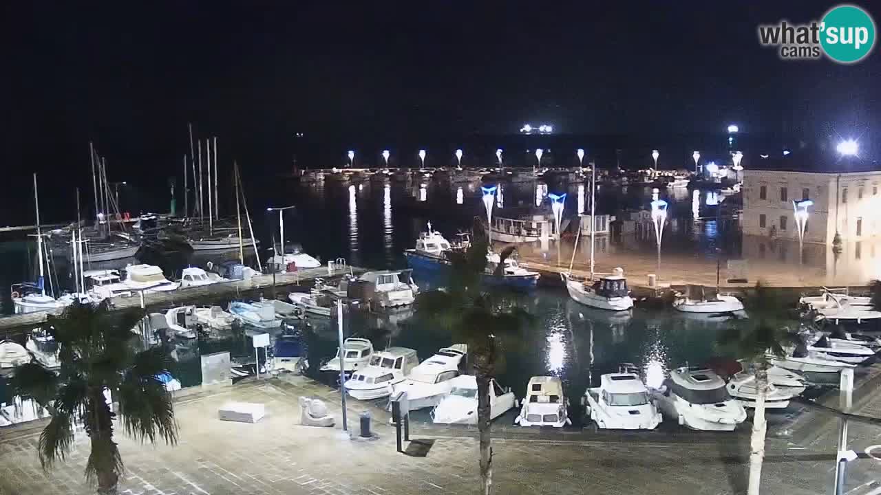 Der Hafen von Koper Live-Webcam – Kreuzfahrt- und Frachthafen – Slowenien