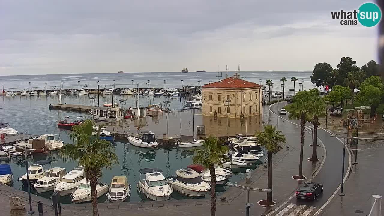 Luka Kopar uživo web kamera – Turistički terminal i teretna luka – Slovenija