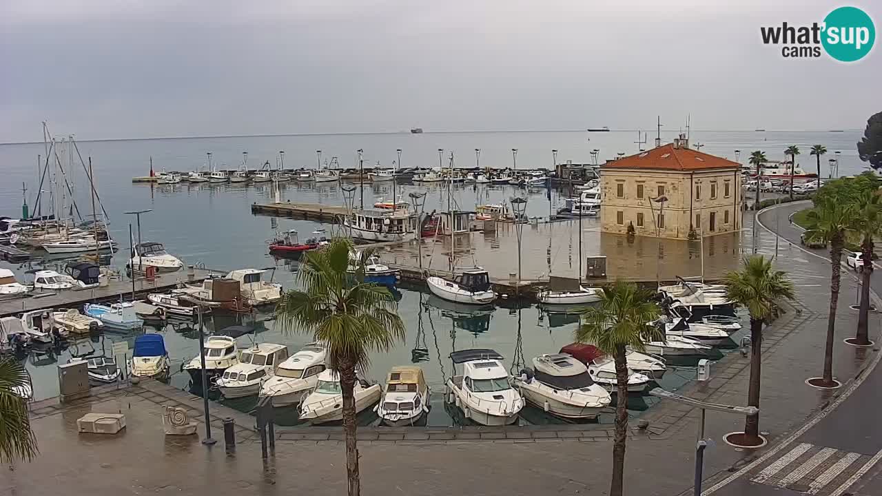 Web kamera Koper – marina i promenada – hotel Grand Koper