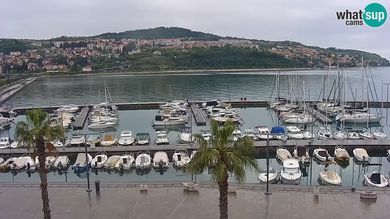 Spletna kamera Luka Koper v živo – Potniški terminal in tovorno pristanišče – Slovenija
