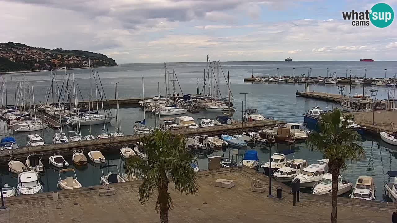 Camera en Vivo Koper – Ukmarjev trg
