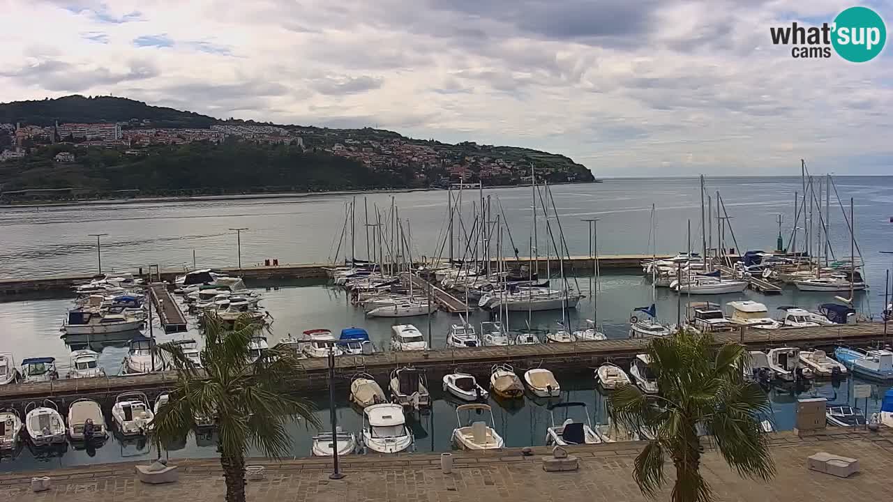 Spletna kamera Koper – Panorama na marino in promenado s Hotela Grand Koper