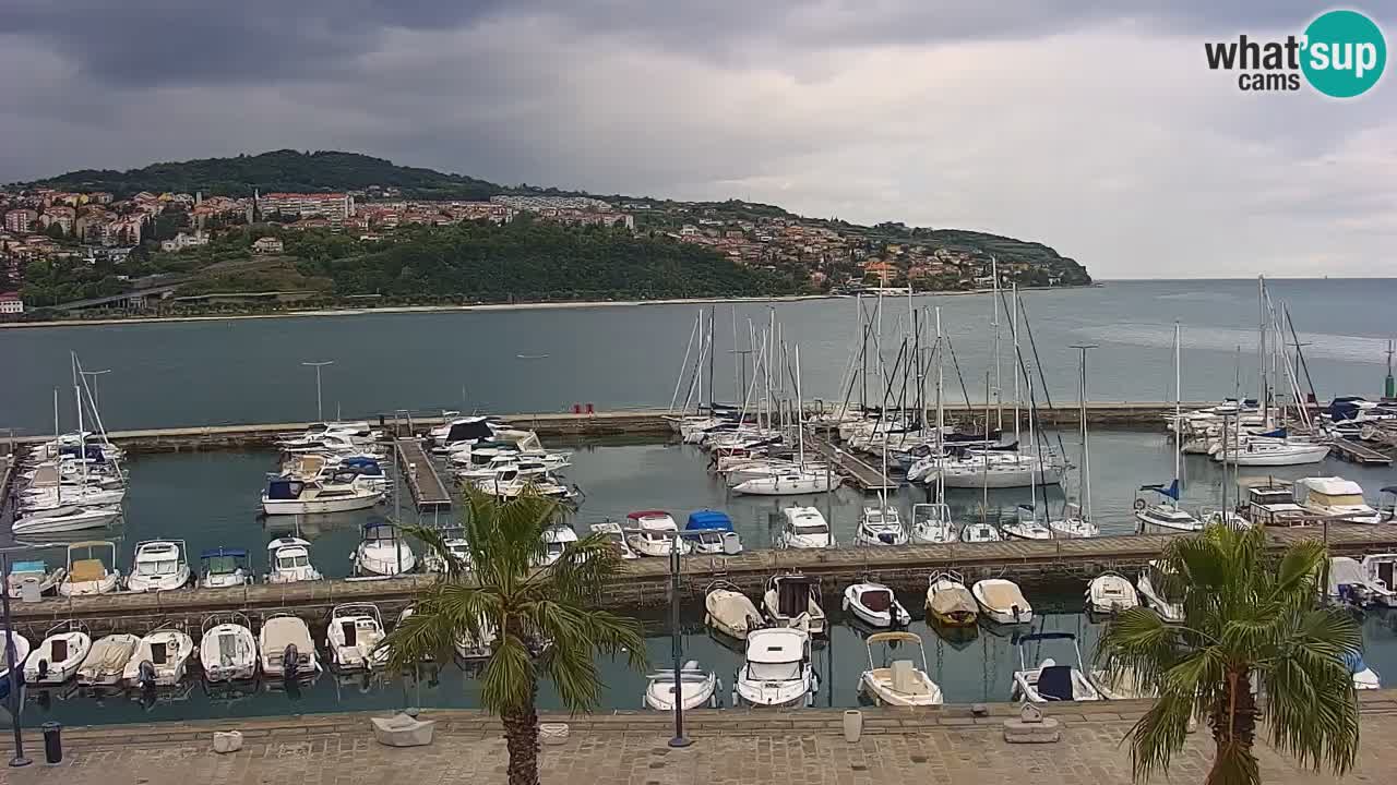 Web kamera Koper – marina i promenada – hotel Grand Koper