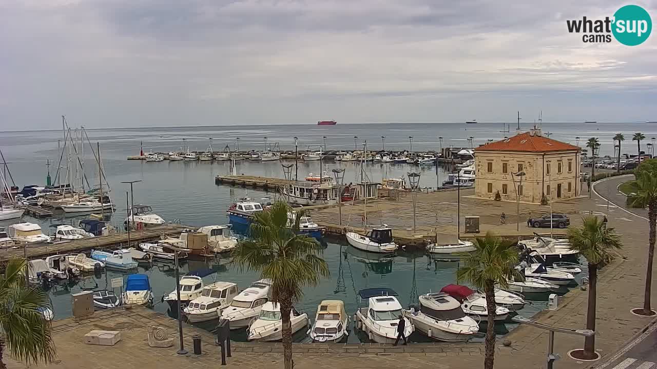 Camera en Vivo Koper – Ukmarjev trg