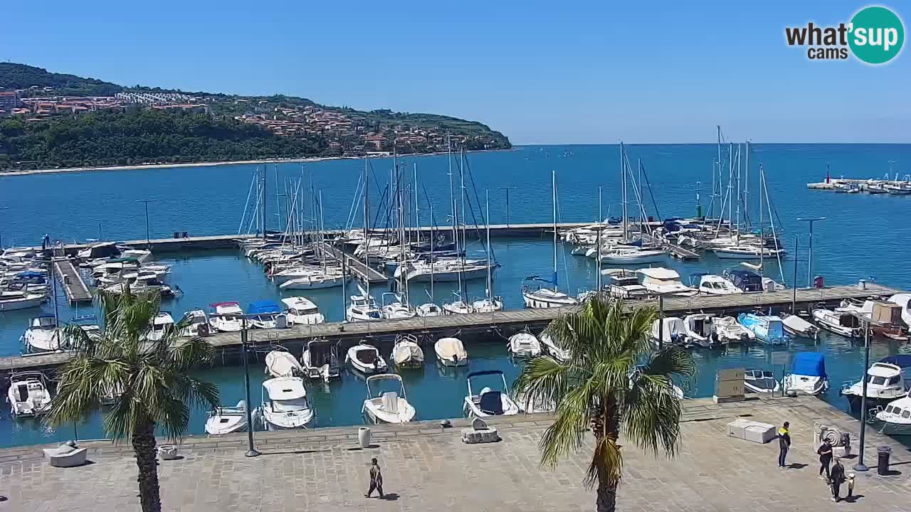 Spletna kamera Luka Koper v živo – Potniški terminal in tovorno pristanišče – Slovenija
