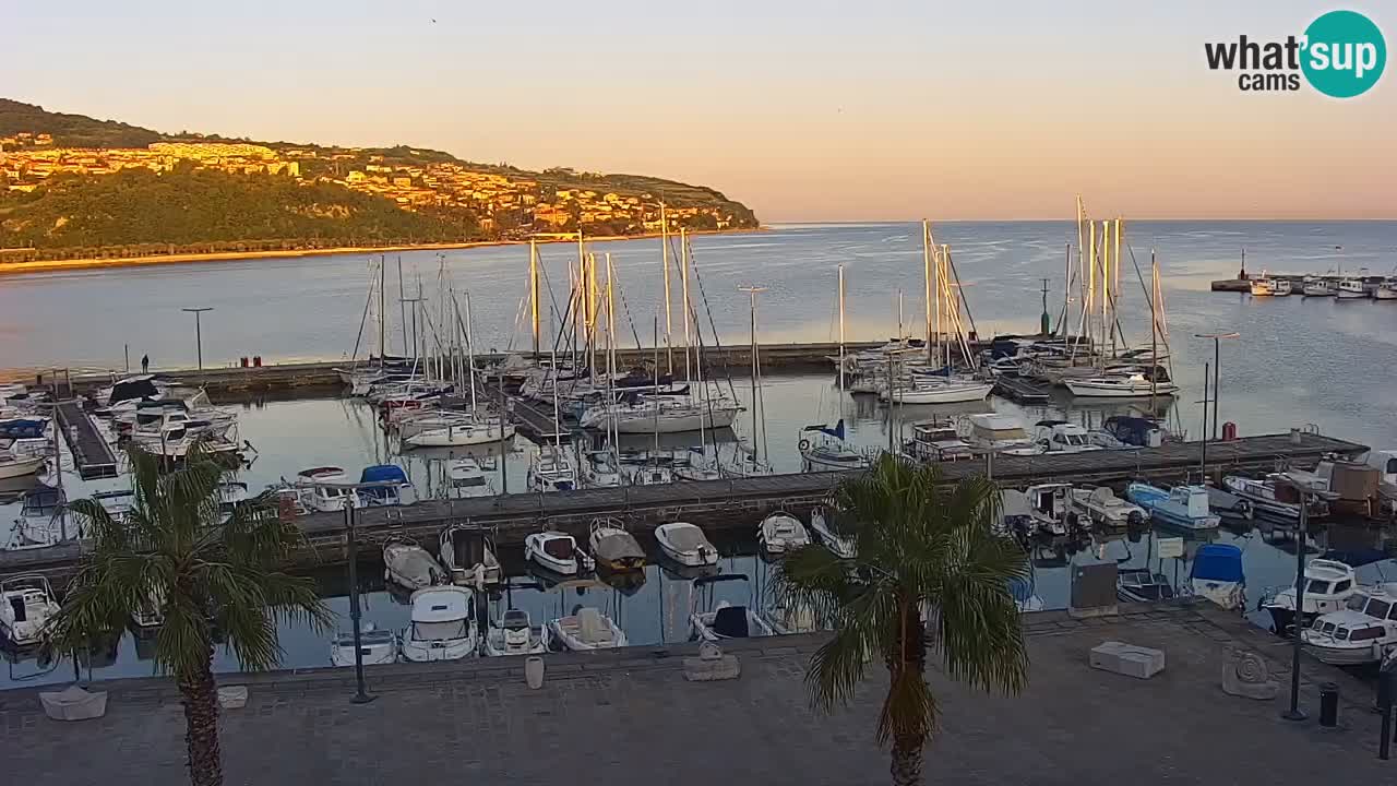 The Port of Koper live webcam – cruise and cargo port – Slovenia