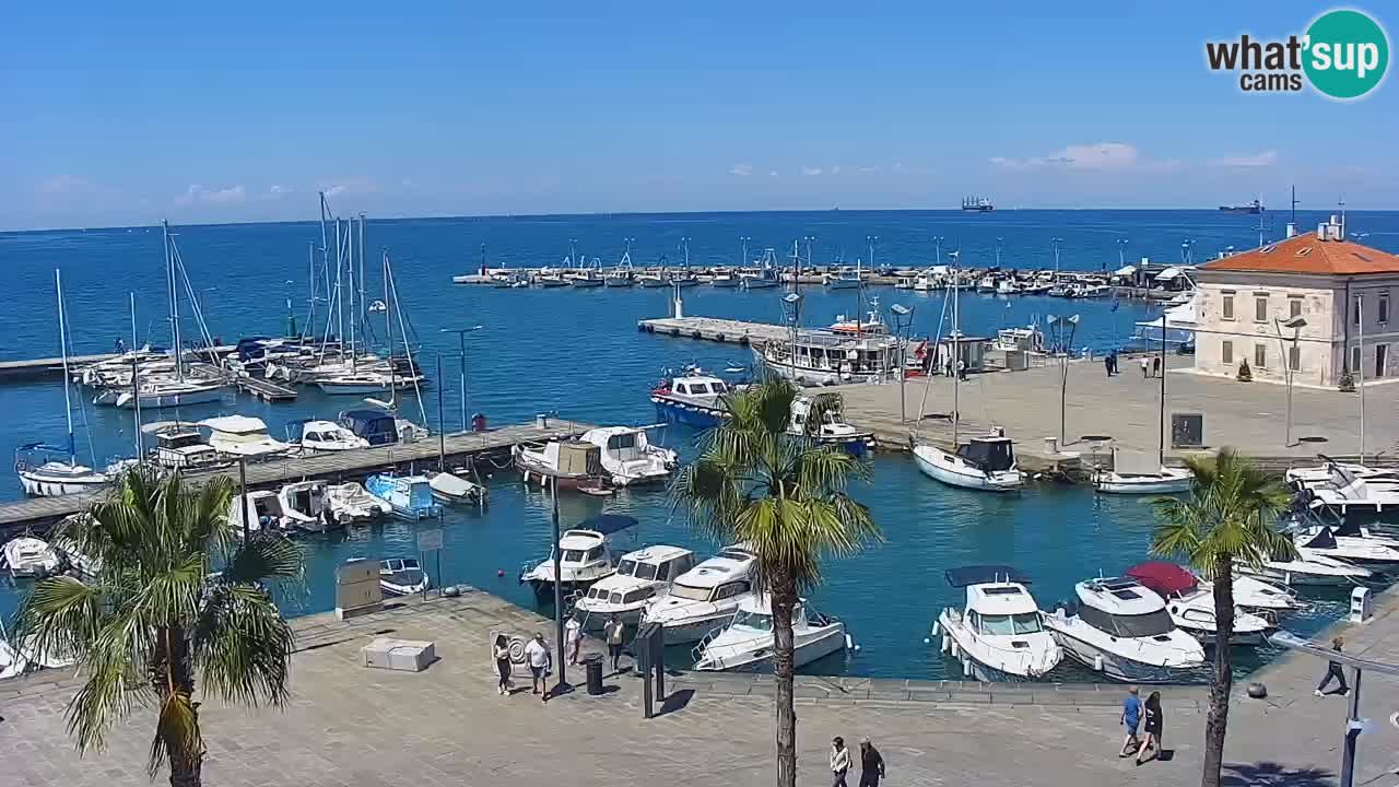 Webcam Koper – Panorama des Jachthafens und der Promenade vom Hotel Grand Koper