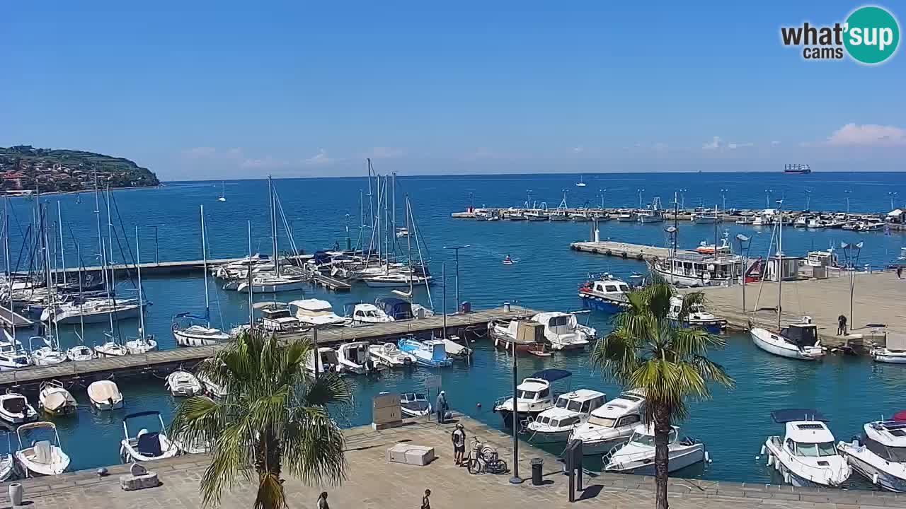 Il porto di Koper – Capodistria live webcam – porto crociere e mercantile – Slovenia