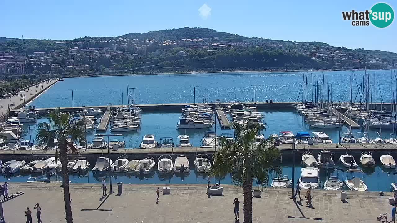 Webcam en direct du port de Koper – port de croisière et de fret – Slovénie