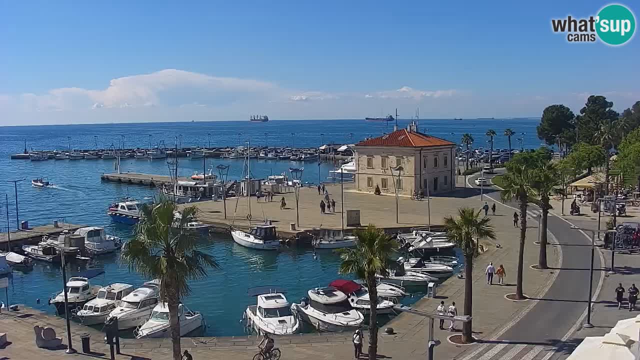 Luka Kopar uživo web kamera – Turistički terminal i teretna luka – Slovenija
