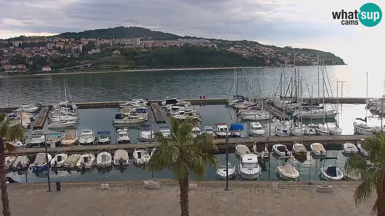 Web kamera Koper – marina i promenada – hotel Grand Koper