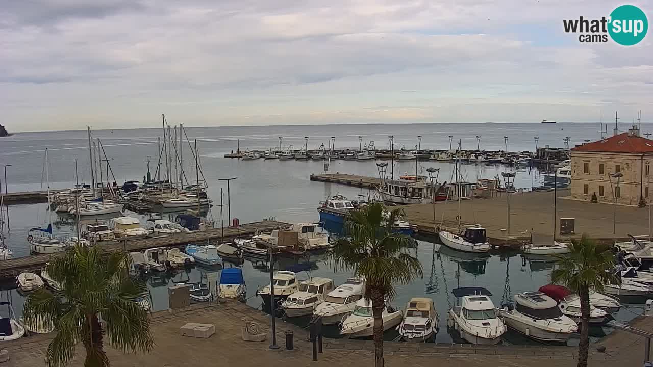 Luka Kopar uživo web kamera – Turistički terminal i teretna luka – Slovenija