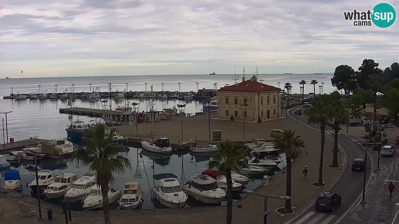 Spletna kamera Koper – Panorama na marino in promenado s Hotela Grand Koper
