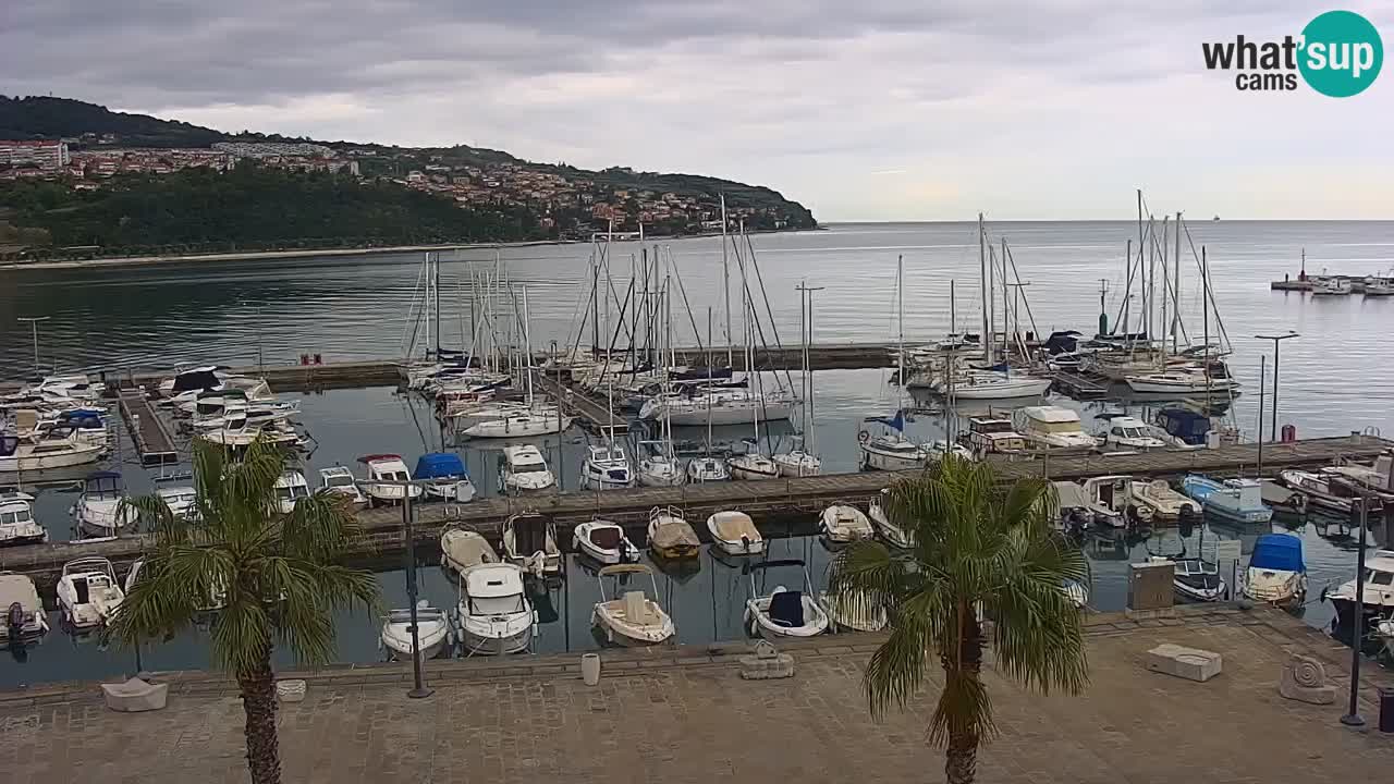 Webcam Koper – Ukmarjev trg