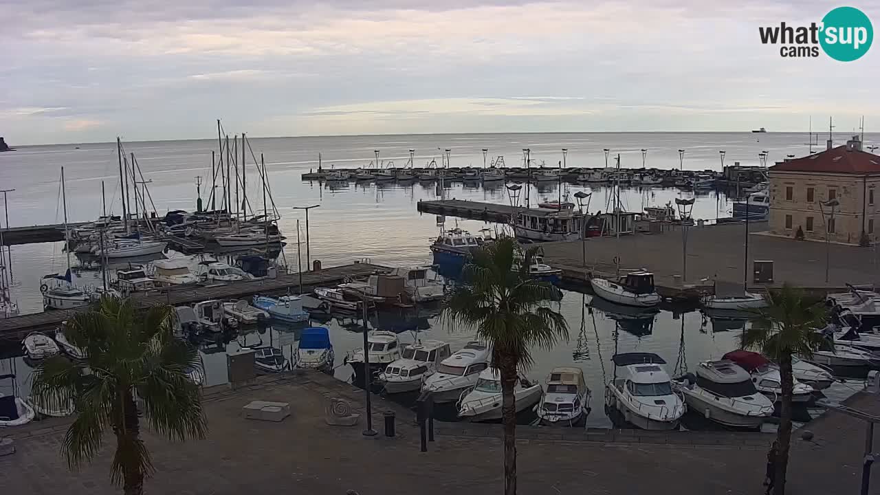 Camera en vivo Koper – puerto deportivo y paseo marítimo desde el Hotel Grand Koper