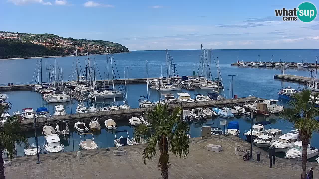 Webcam Koper – Panorama of the marina and promenade from the Grand Hotel Koper