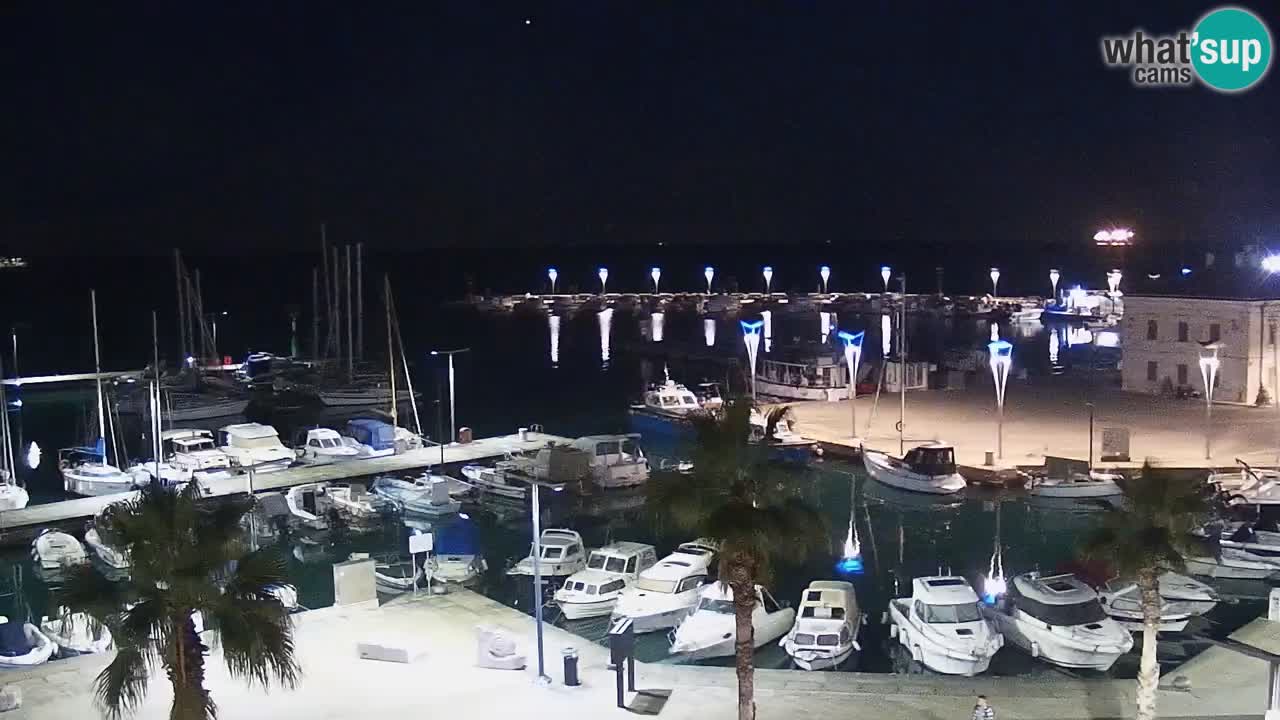 The Port of Koper live webcam – cruise and cargo port – Slovenia
