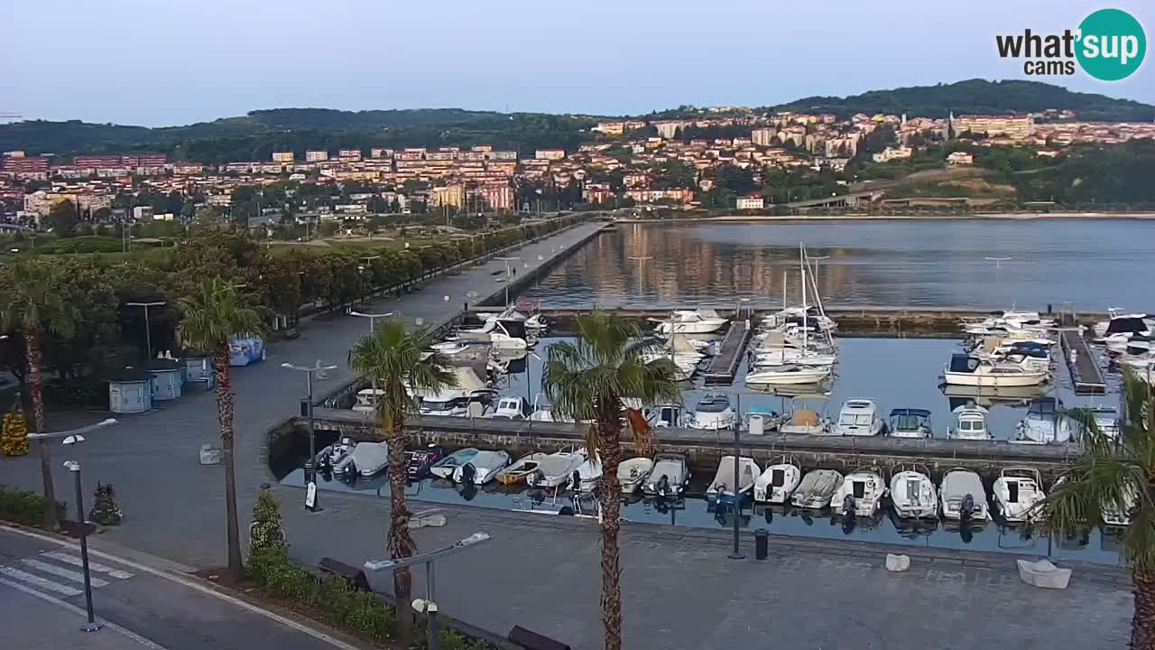 Livecam Koper – Ukmarjev trg