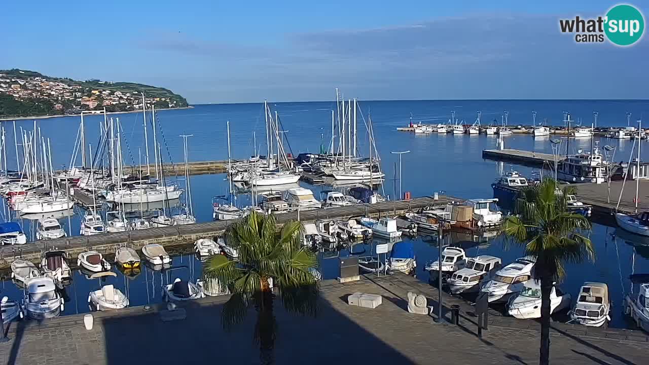 Webcam Koper – Ukmarjev trg