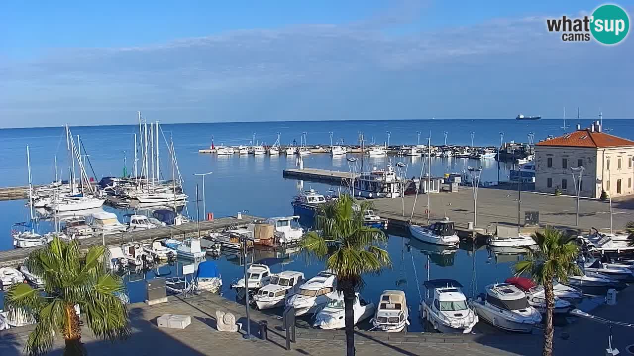 Live cam Koper – Ukmarjev trg